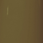 RAL 8025